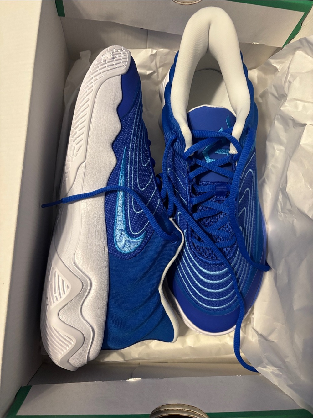 Nike Royal Blue & White Athletic Sneakers